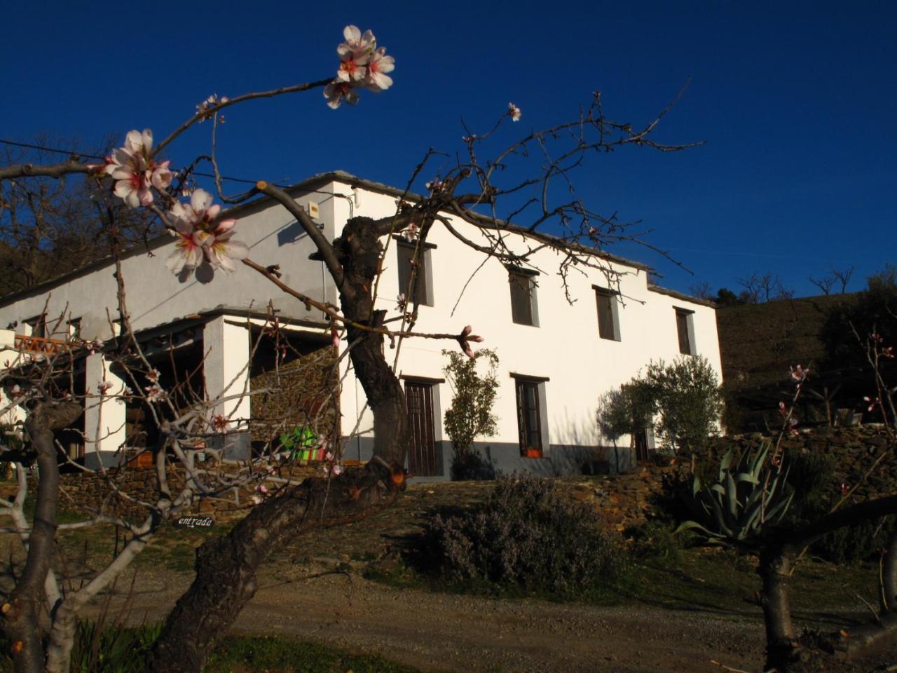 Casa Rural El Paraje De Berchules Екстер'єр фото